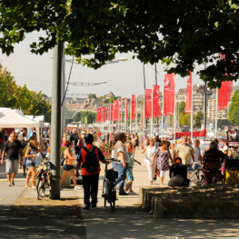 caen-animations-port