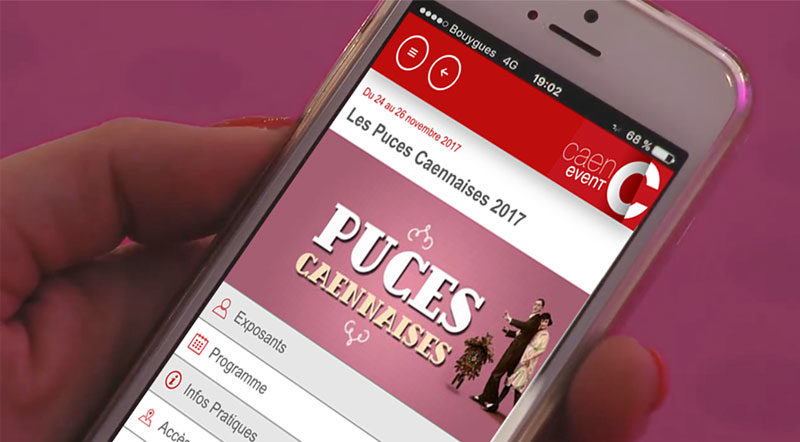 application-puces17