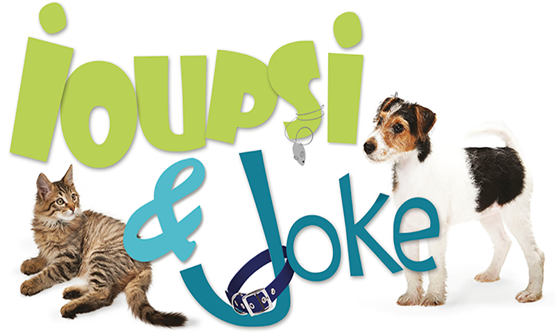 Salon Du Chiot Et De Quelques Chatons Caen événements